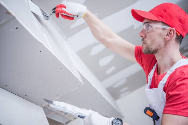 Best Drywall Sanding and Smoothing  in Snohomish, WA